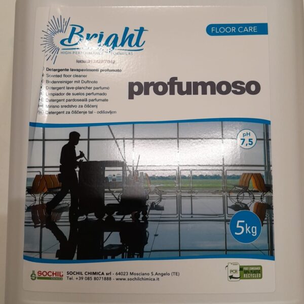 Sochil Bright Soluție profesionala pentru pardoseli,parchet ,miros plăcut, 5 litri